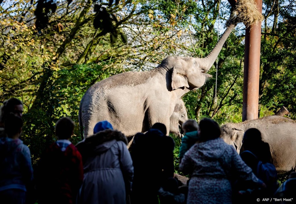 Dierentuinen trokken in 2019 meer bezoekers