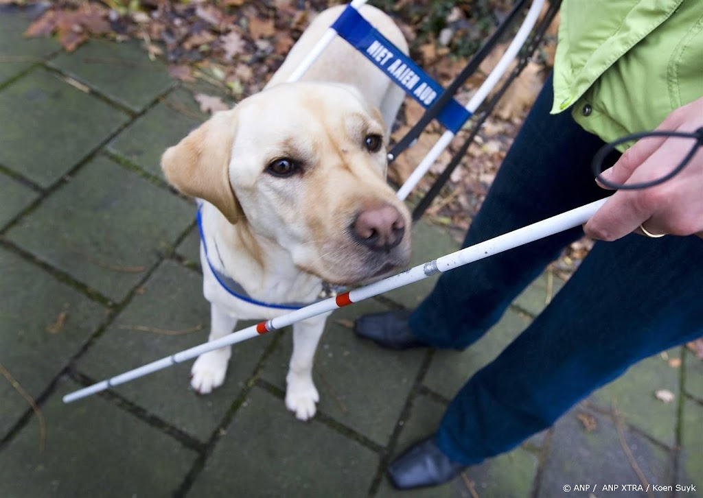 Blinde man in Bussum op straat mishandeld, dader gevlucht 