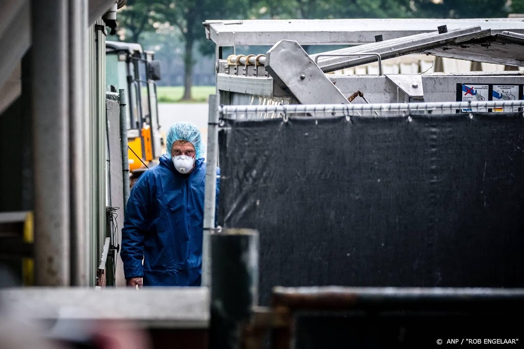 NVWA: ruiming vier nertsenfokkerijen begonnen