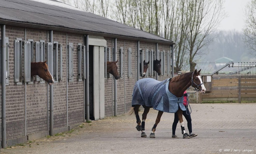 100 miljoen aan naheffingen en boetes na onderzoek paardenhandel