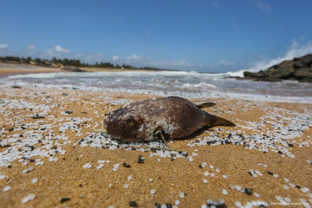 WWF: meer dan vier keer zo veel plastic in de oceaan tegen 2050