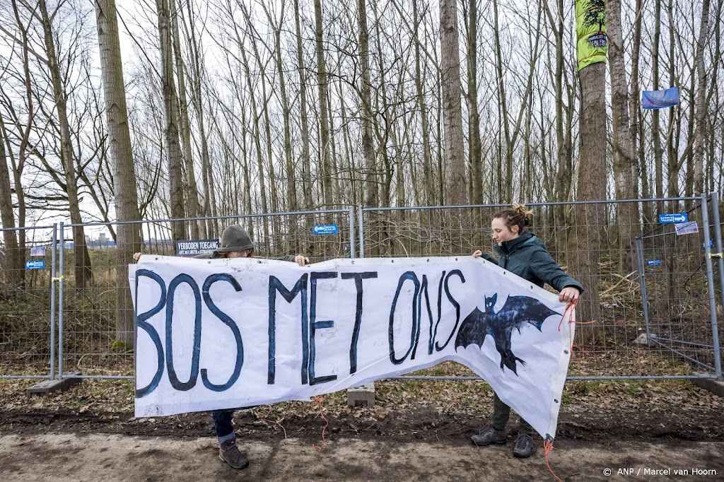 Politierechter behandelt bezetting Sterrebos