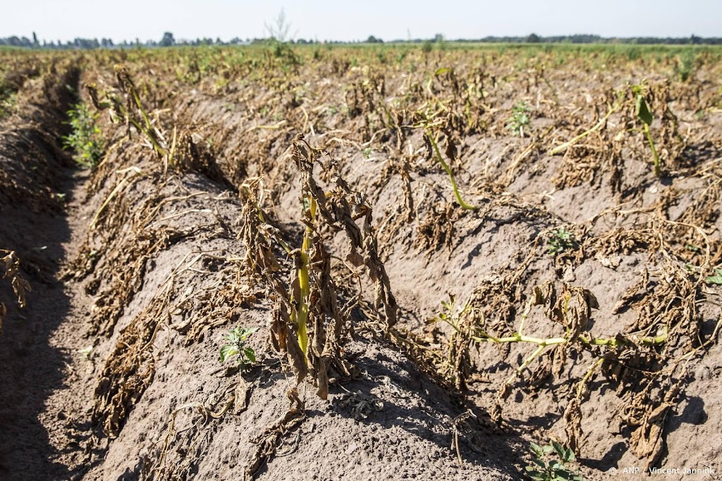 Boerenorganisatie: slimmer omgaan met zoetwater tegen droogte