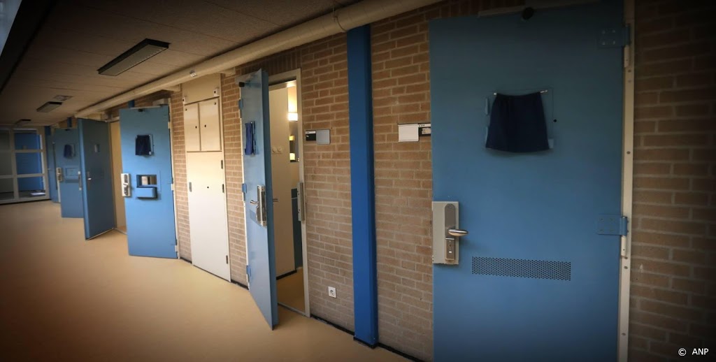 Tien jaar en tbs voor reeks zedenmisdrijven Eindhovenaar