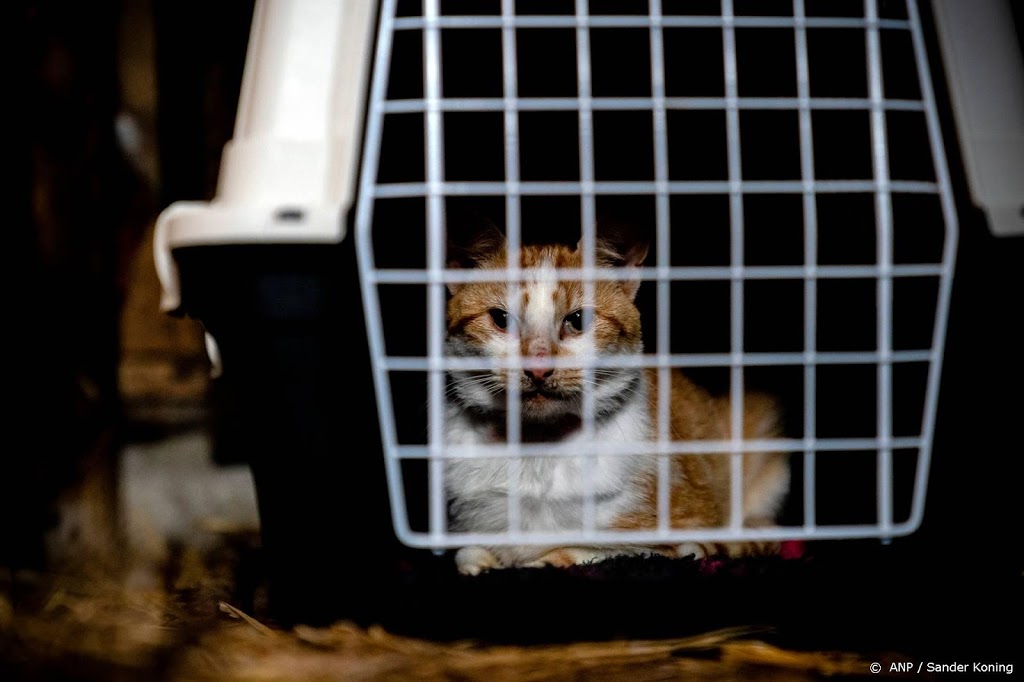 'Geef geen restjes kerstdiner aan hond en kat'
