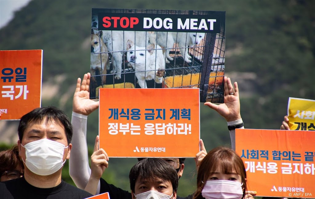 Parlement Zuid-Korea verbiedt handel in hondenvlees