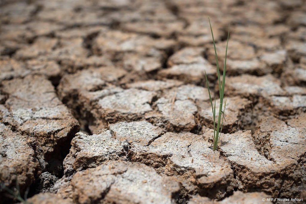 Rijstprijzen stijgen tot recordhoogte door droogte in Thailand