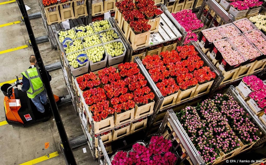 Recordomzet voor bloemenveiling Royal FloraHolland in 2021