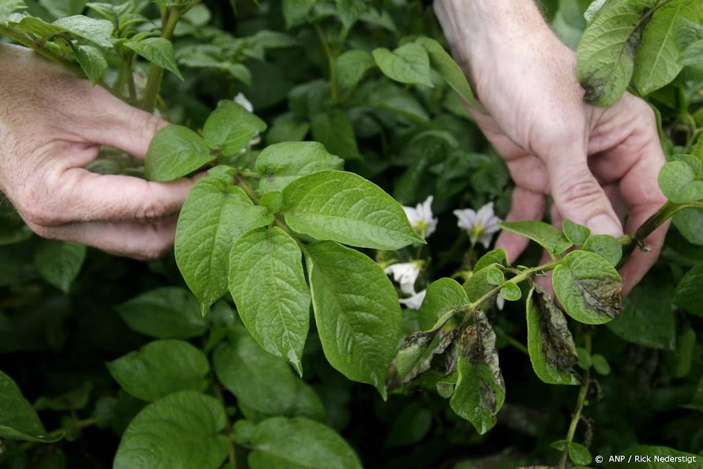Pesticiden bevinden zich overal, Drentse burgers willen onderzoek