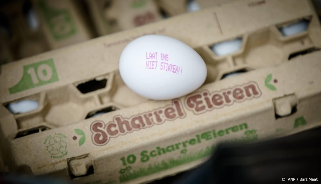 Eigenaren ChickFriend voor de strafrechter in fipronilaffaire