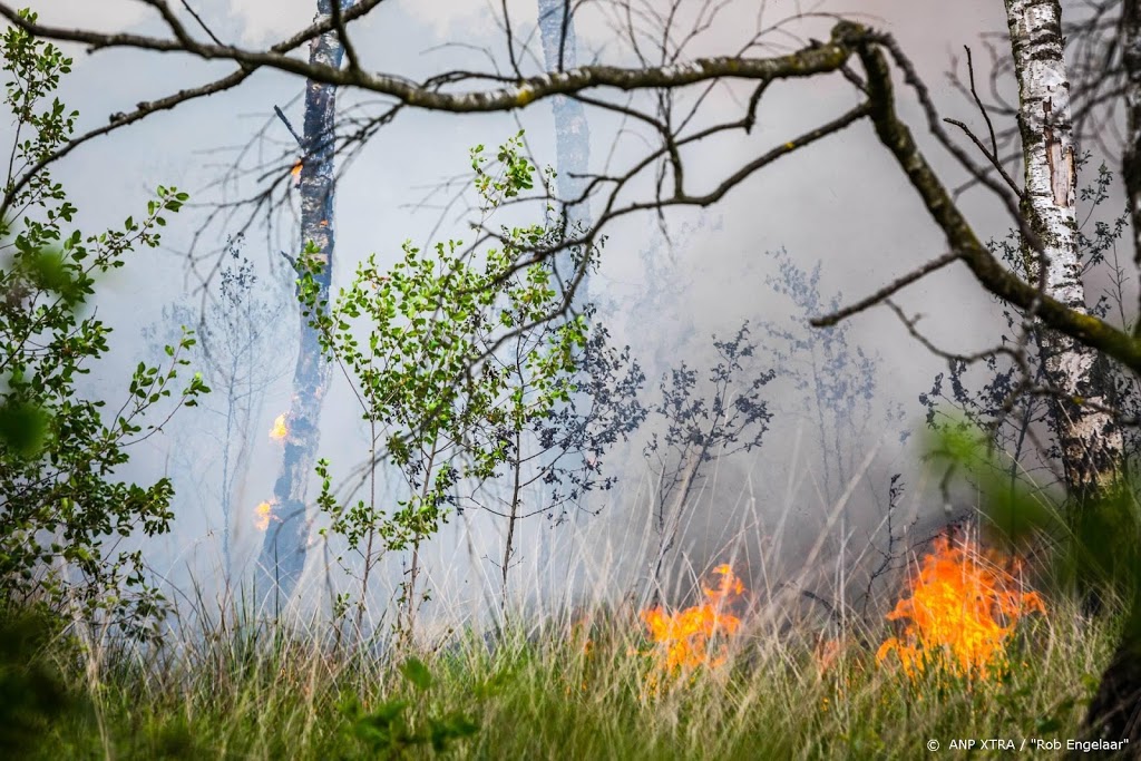 Drie branden op de Veluwe
