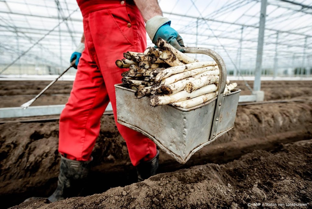 CBS: veel seizoenkrachten werkzaam in landbouw
