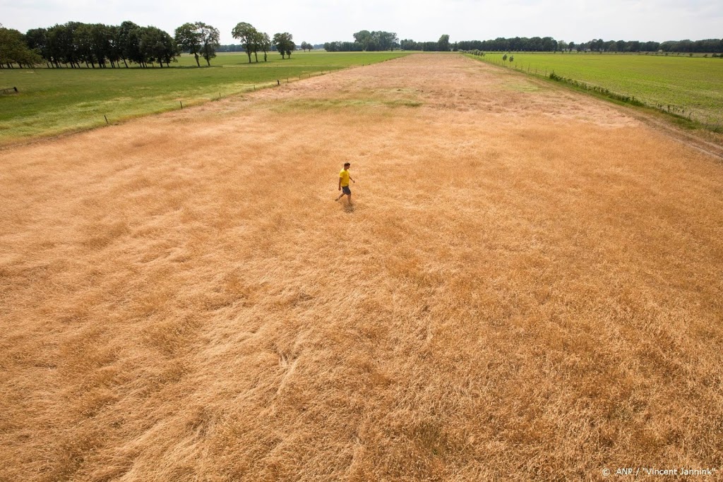 Droogte brengt landbouw in de problemen