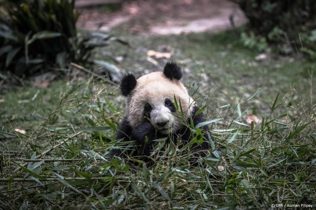 WWF: verduurzaam voedselsysteem om soortenrijkdom te redden