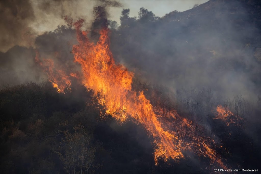 Arcadis gaat in Californië helpen schade bosbranden te herstellen