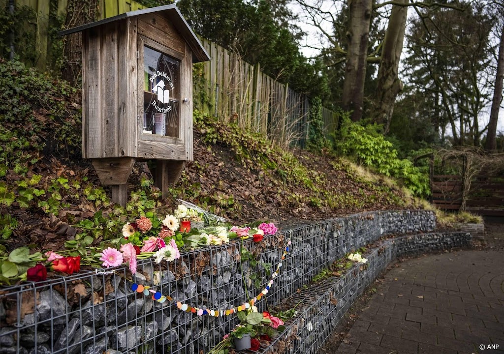 Burgemeester overweegt maatregelen na steekpartij Den Dolder