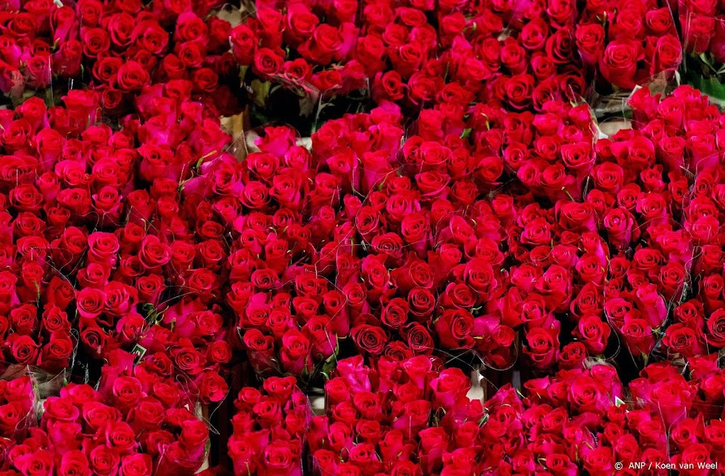 Bloemen voor Valentijnsdag duurder, maar nog steeds populair