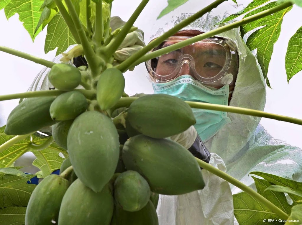 Delftse onderzoekers maken zonnecellen met papaja-enzymen