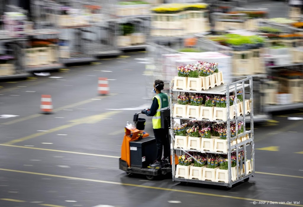 Export nam in februari 2,8 procent toe, omstandigheden nu minder
