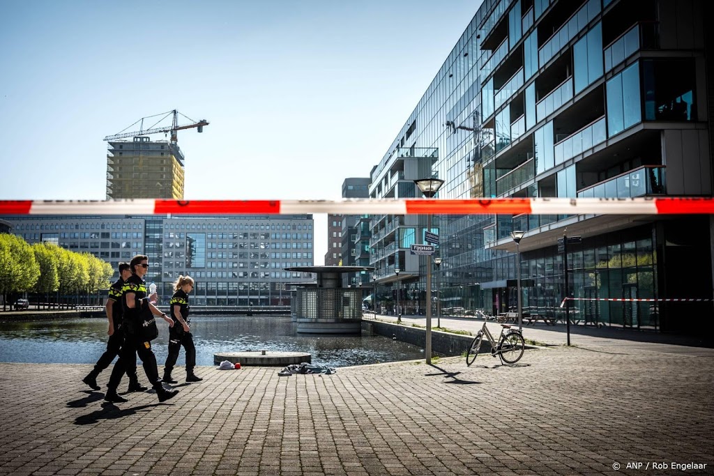 Haagse steker Malek F. in hoger beroep alleen veroordeeld tot tbs