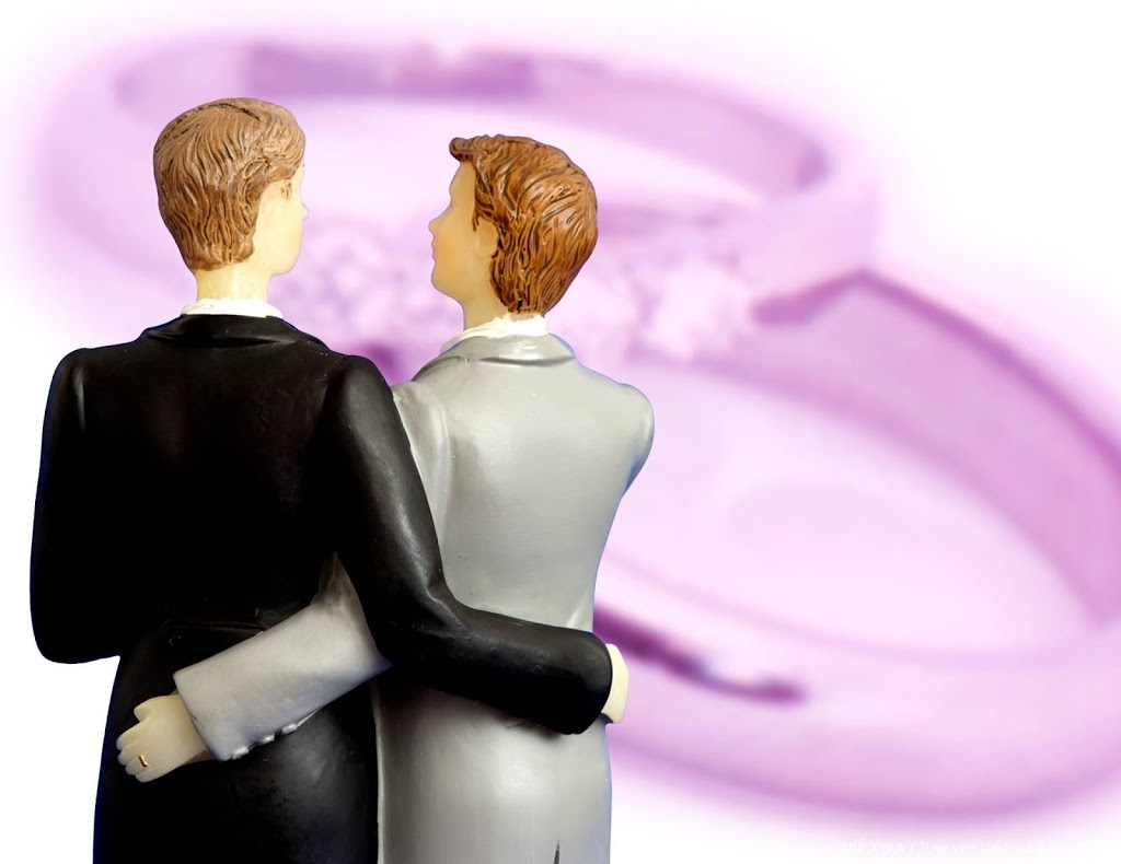 Nederland telt naar schatting vijftien 'homogenezers'