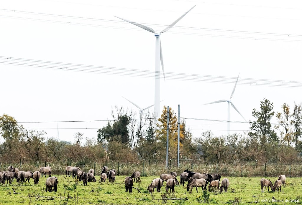 Boeren verdienen steeds vaker bij, bijvoorbeeld met windmolens
