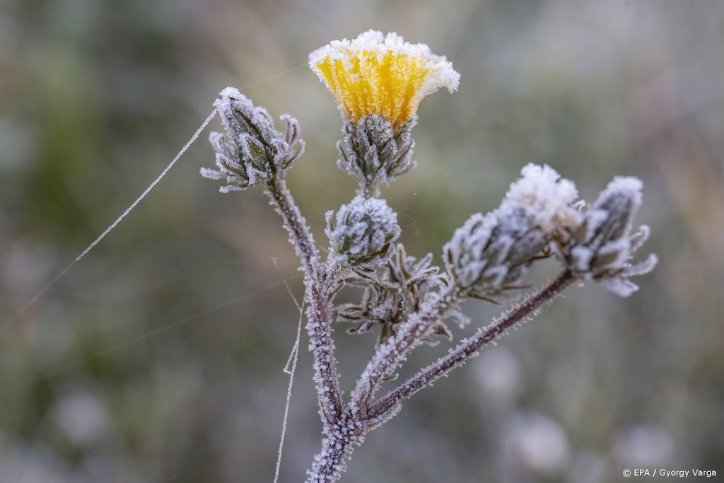 Eerste matige vorst deze winter gemeten in het noordoosten