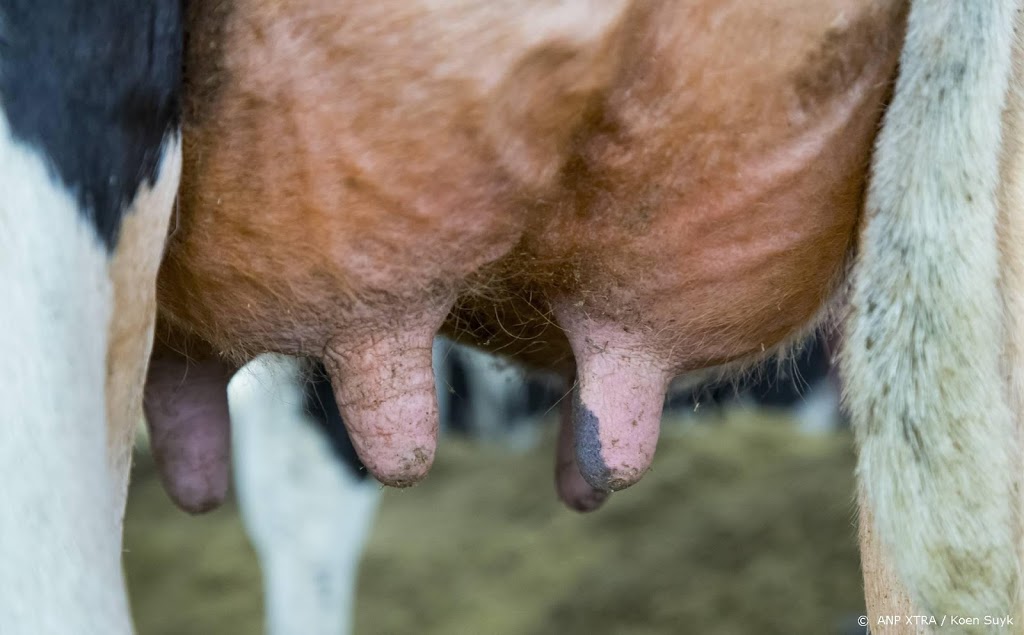 Boer verkoopt vaker direct aan consument, eettent of tuincentrum