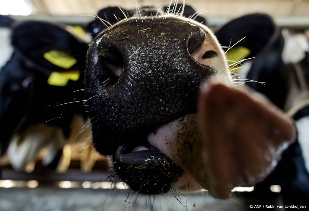 Europarlement stemt in met terugdringen uitstoot in veehouderij