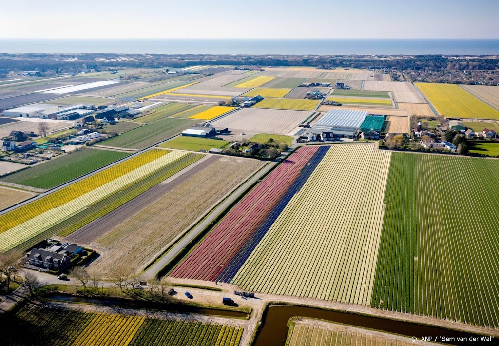 Oproep Veiligheidsregio: kom niet naar de bollen