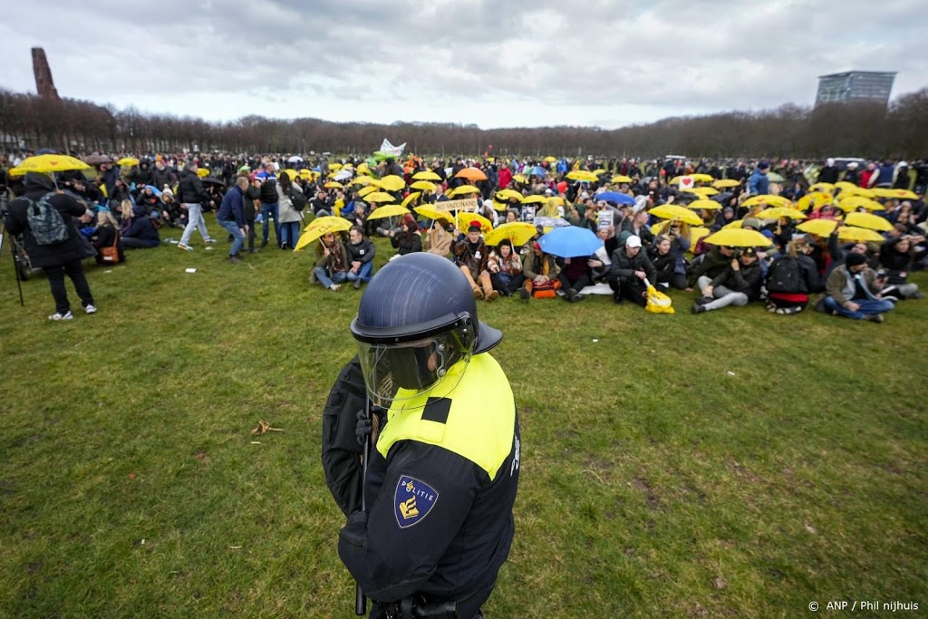 Verdachte van schoppen politiehond Malieveld voor de rechter