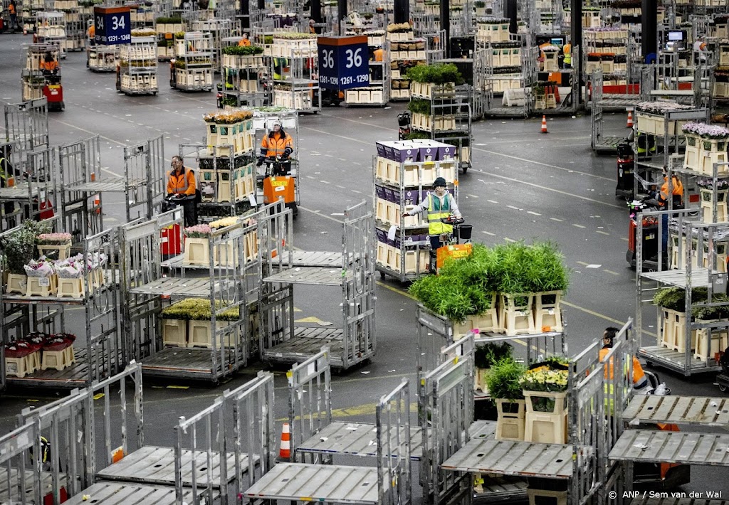 CBS: export groeide nog wel in juli, maar minder dan in juni