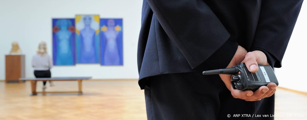 Voor zo'n 10 musea dreigt sluiting binnen een half jaar