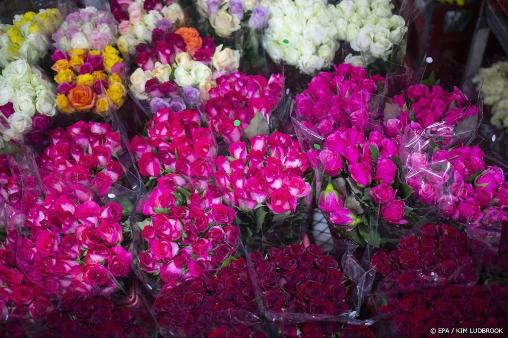 Kenia laat extra vluchten toe voor vervoer bloemen Valentijnsdag