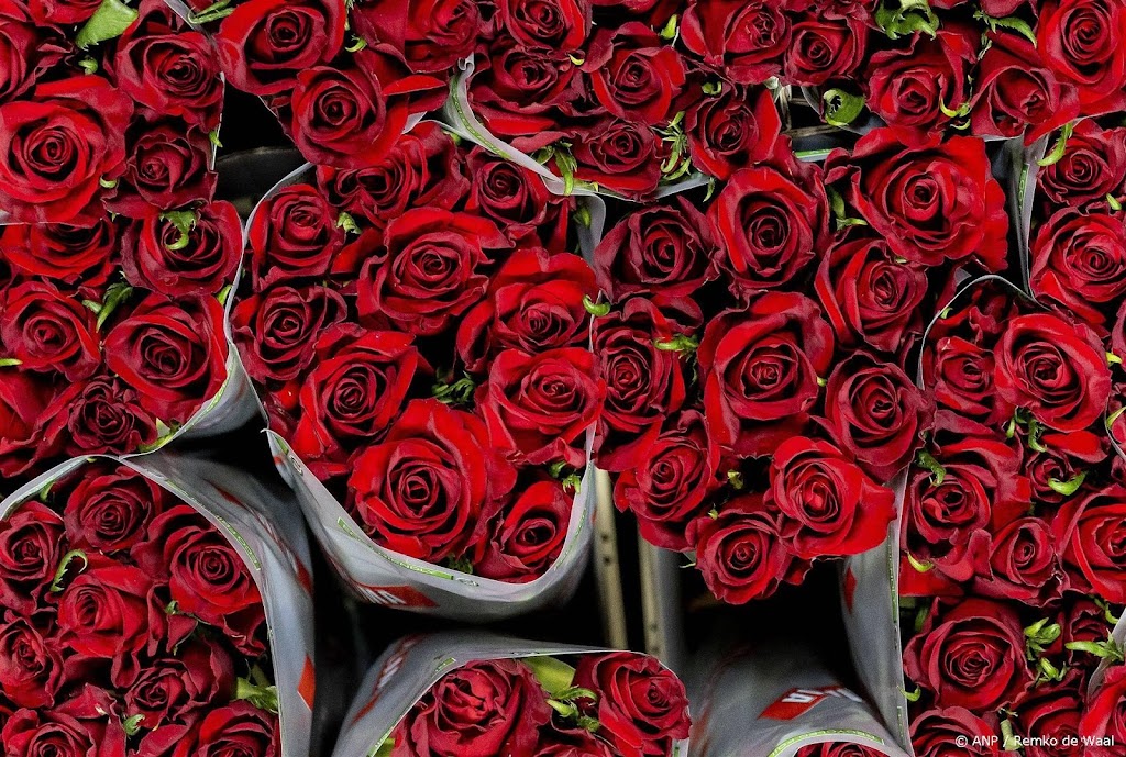 Bloemenexport omlaag, verkoop Valentijnsdag blijft wel gelijk