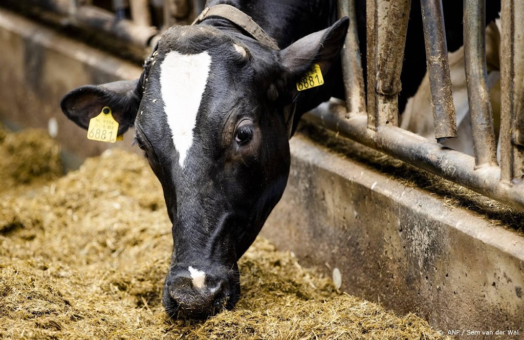 Klimaatadvies: kleinere veestapel onvermijdelijk, overweeg vleest