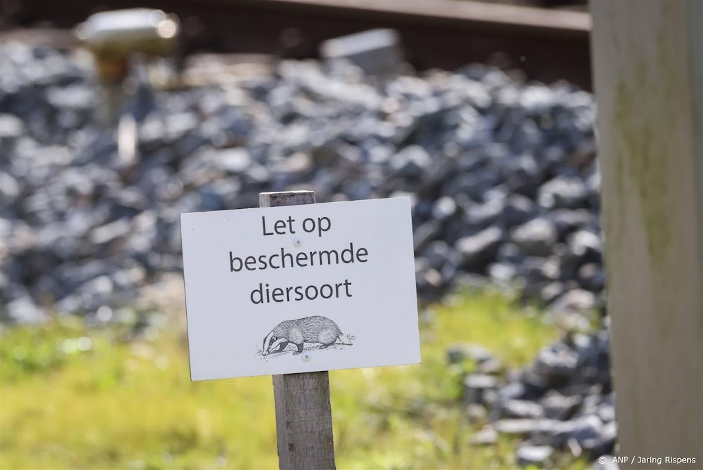 Onderzoek naar dassen op terrein beoogde crisisnoodopvang Heumen