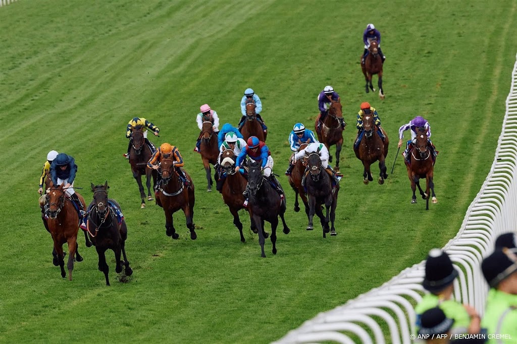 Vlees van afgedankte racepaarden via Nederland illegaal in snacks