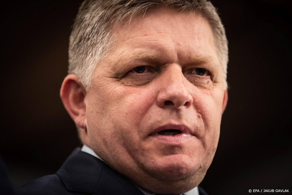 Slowaakse politici raken letterlijk slaags op verkiezingscampagne