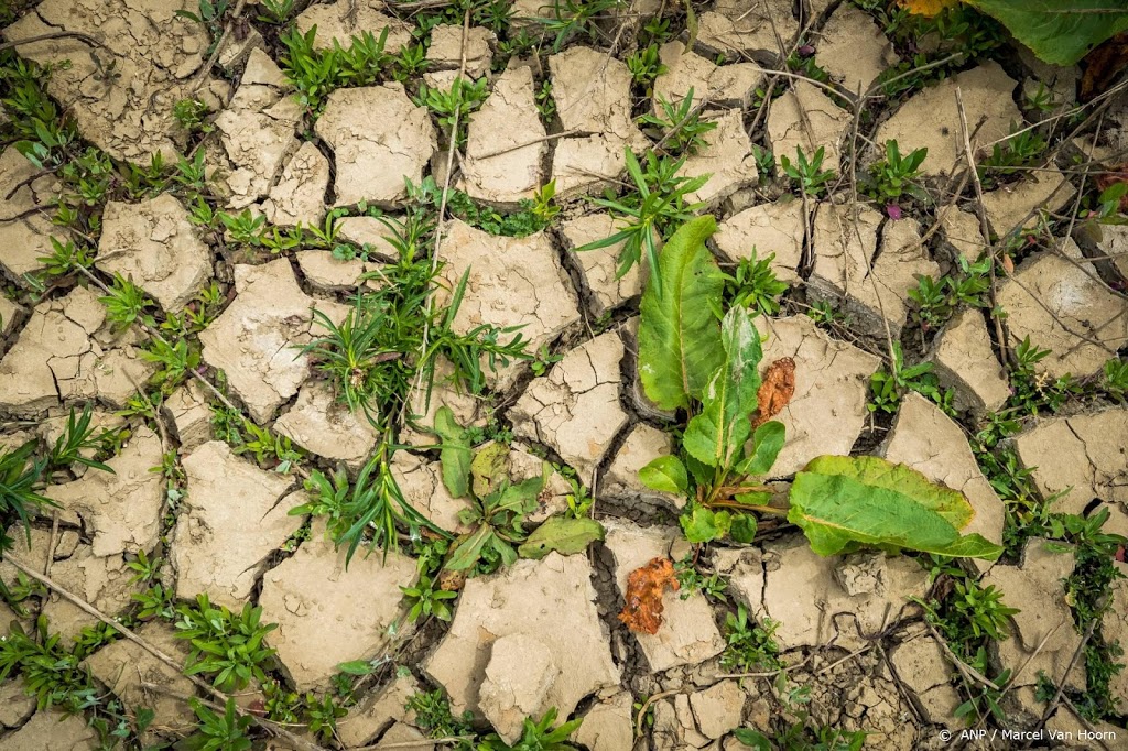 2020 was uitzonderlijk droog