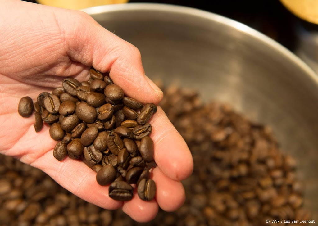'Grote koffiebedrijven scoren slecht op milieu en mensenrechten'
