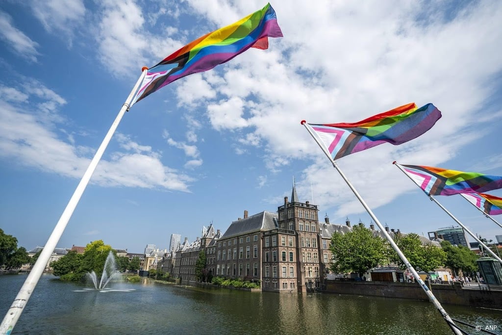 Partijen presenteren initiatiefwet om 'homogenezing' te verbieden