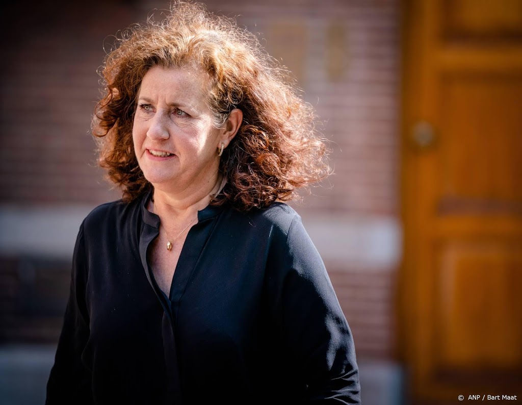 Zorgen in Kamer over zzp'ers in cultuursector