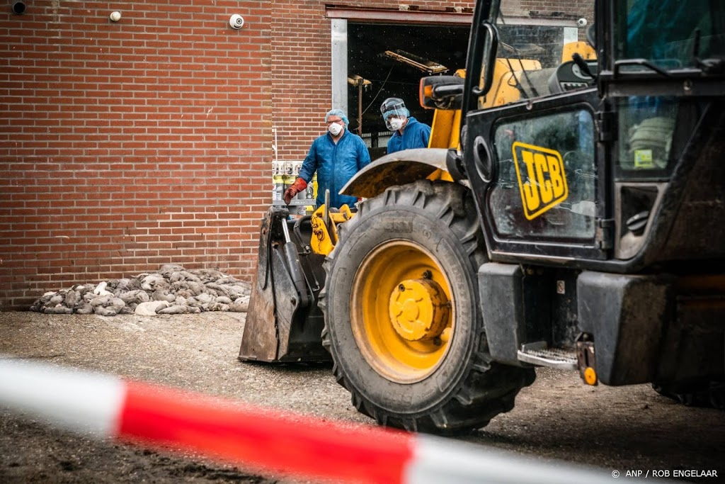 Nertsenbedrijven met coronabesmetting in Wilbertoord en Overloon