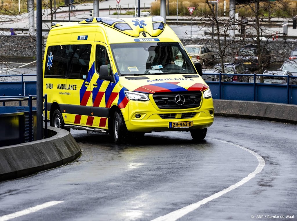 Kind (4) overleden bij ongeluk op A4 bij Hoofddorp