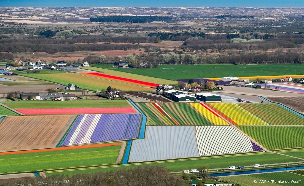 Recordjaar voor export bloemen en planten