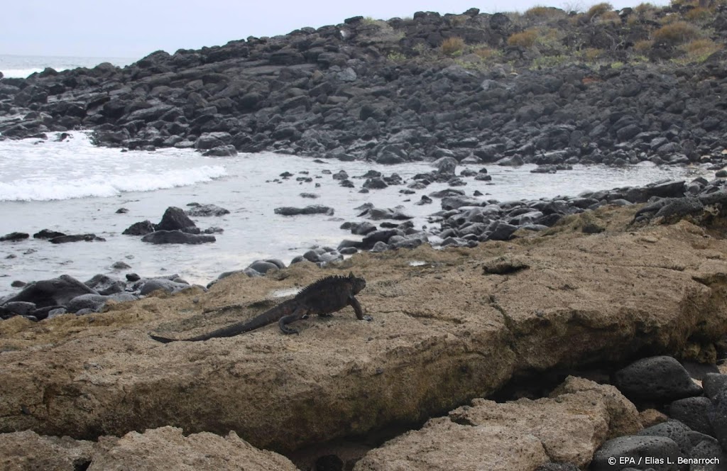 Ecuador vergroot natuurreservaat rond de Galapagoseilanden