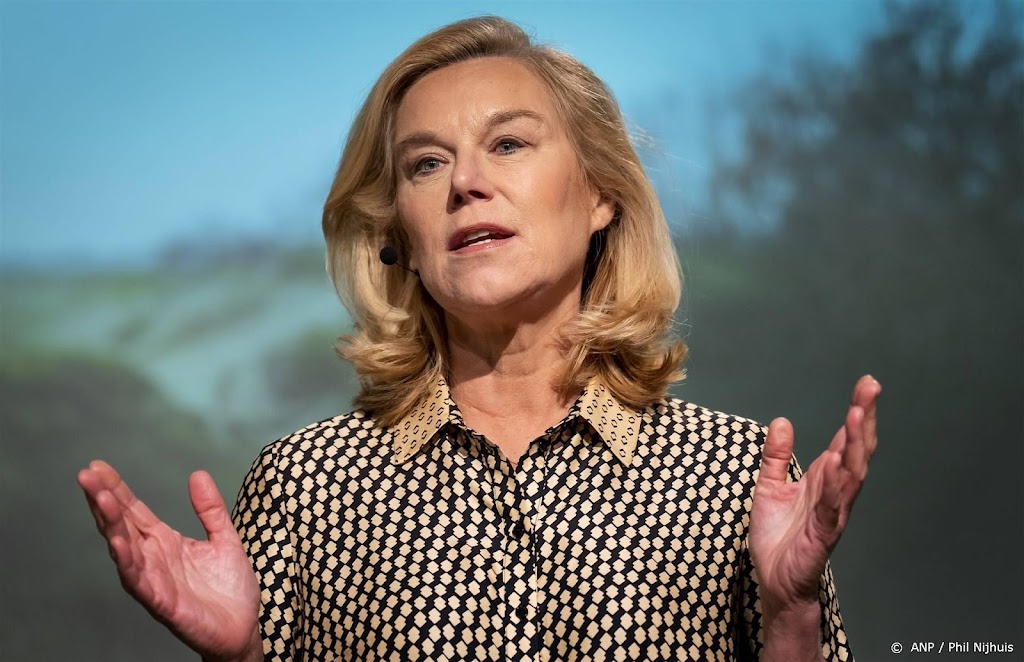 Kaag: D66 mag best tevreden zijn met beperkt verlies in senaat