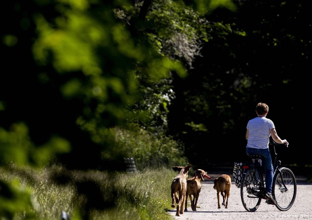 Kamer wil afschaffing hondenbelasting eerst nog onderzoeken