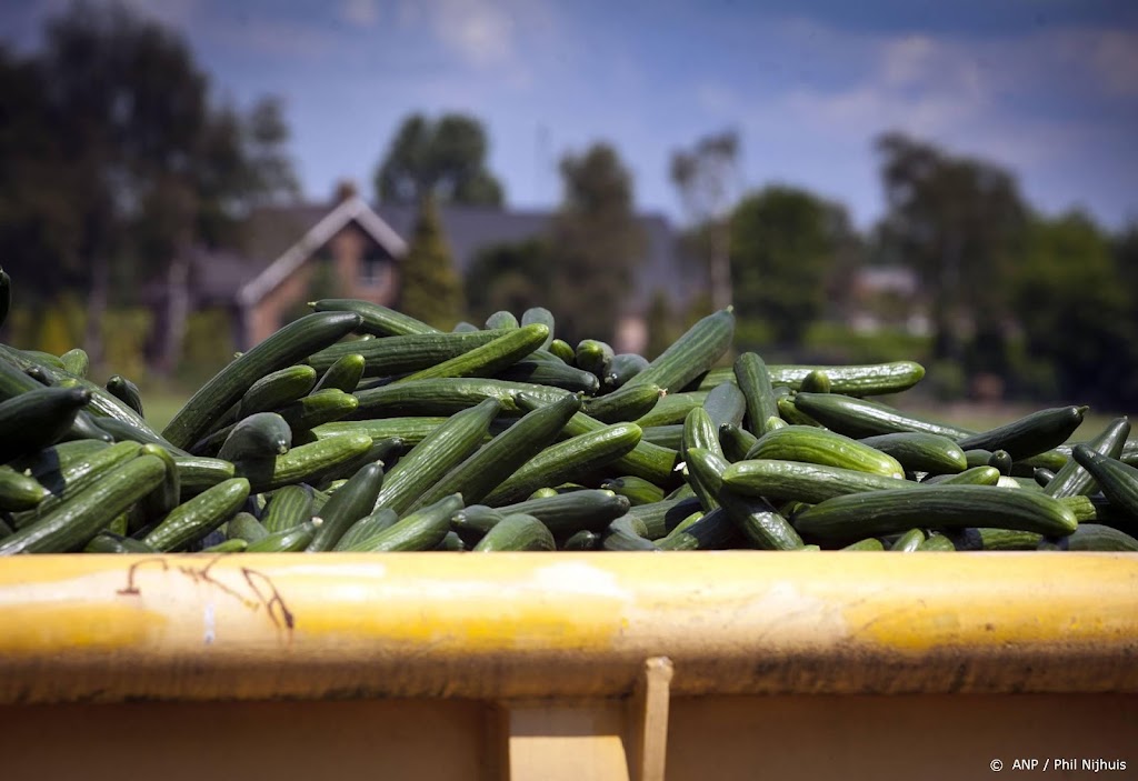 Groente en fruit verrot op Britse akkers door personeelstekort